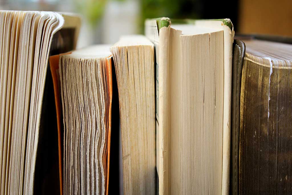 Biblioteca MLP
